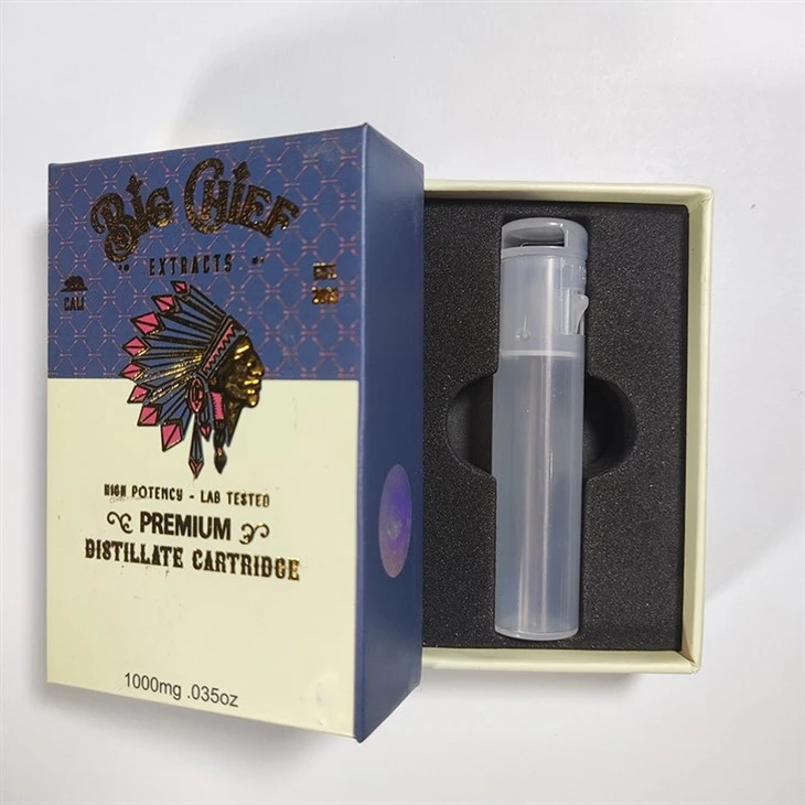 big chief disposable