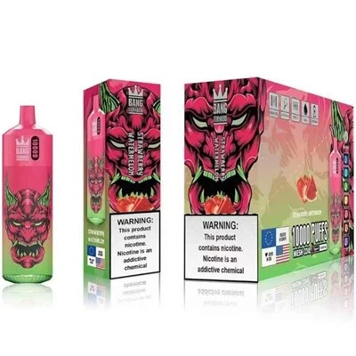 Bagaimana cara kerja nikotin bang king vape?